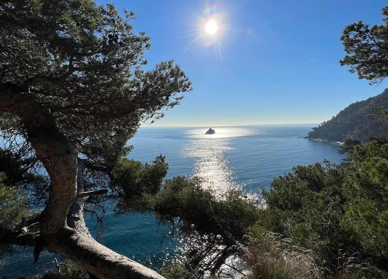 Pleine Mer La Seyne-sur-Mer 0*,